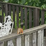 アパート Odm&a ヴィリニュス