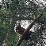 アパート Odm&a ヴィリニュス