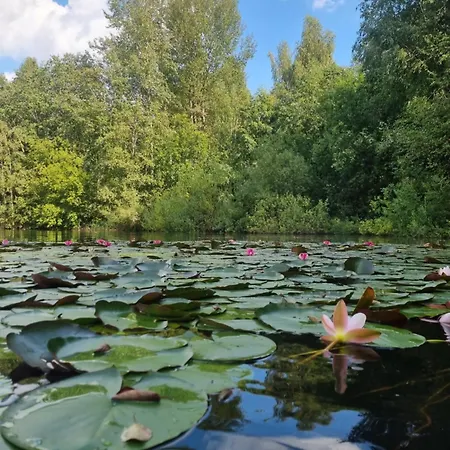 Odm&a Вильнюс