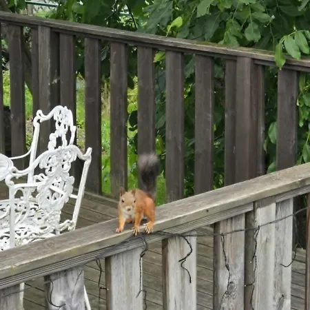 Апартаменты Odm&a Вильнюс