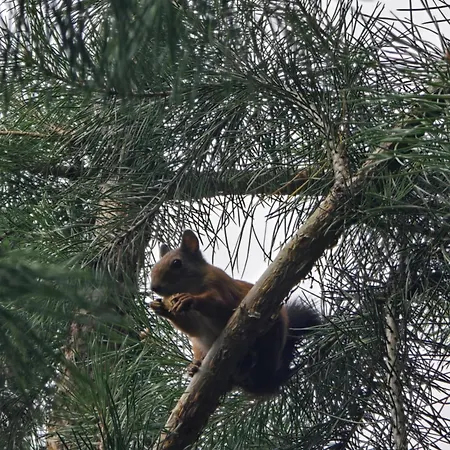 Апартаменты Odm&a Вильнюс