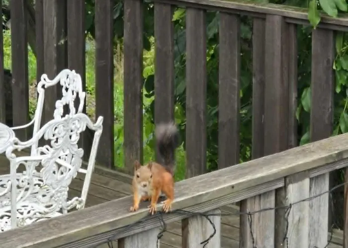 Apartman Odm&a Vilnius