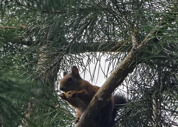 Appartamento Odm&a Vilnius